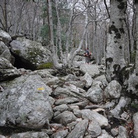 Photo de france - La randonnée du Mont Caroux